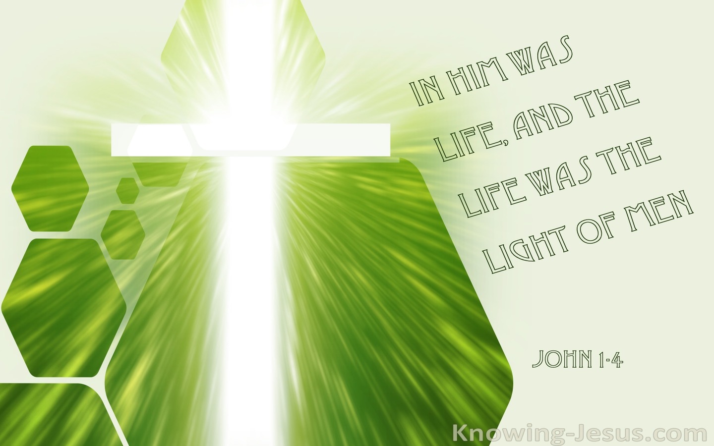 John 1:4 In Him Was Life (green)